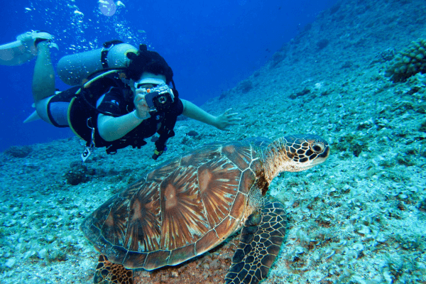 Mergulho em naufrágios dicas para explorar relíquias submersas com segurança