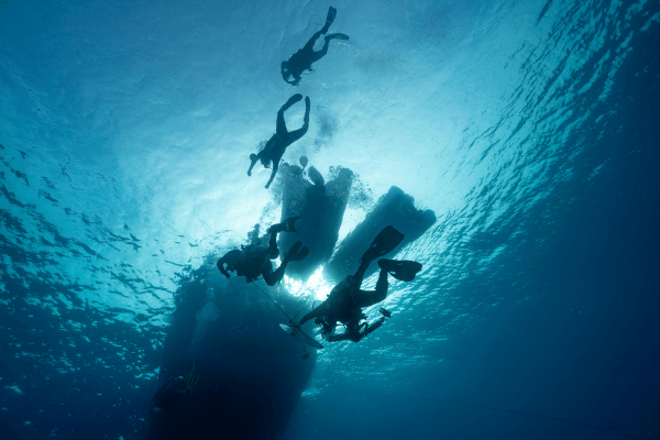 Como funciona o mergulho de pesquisa científica descubra essa área fascinante