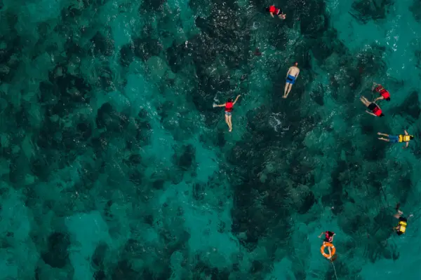 Mergulho recreativo o primeiro passo para descobrir o mundo subaquático